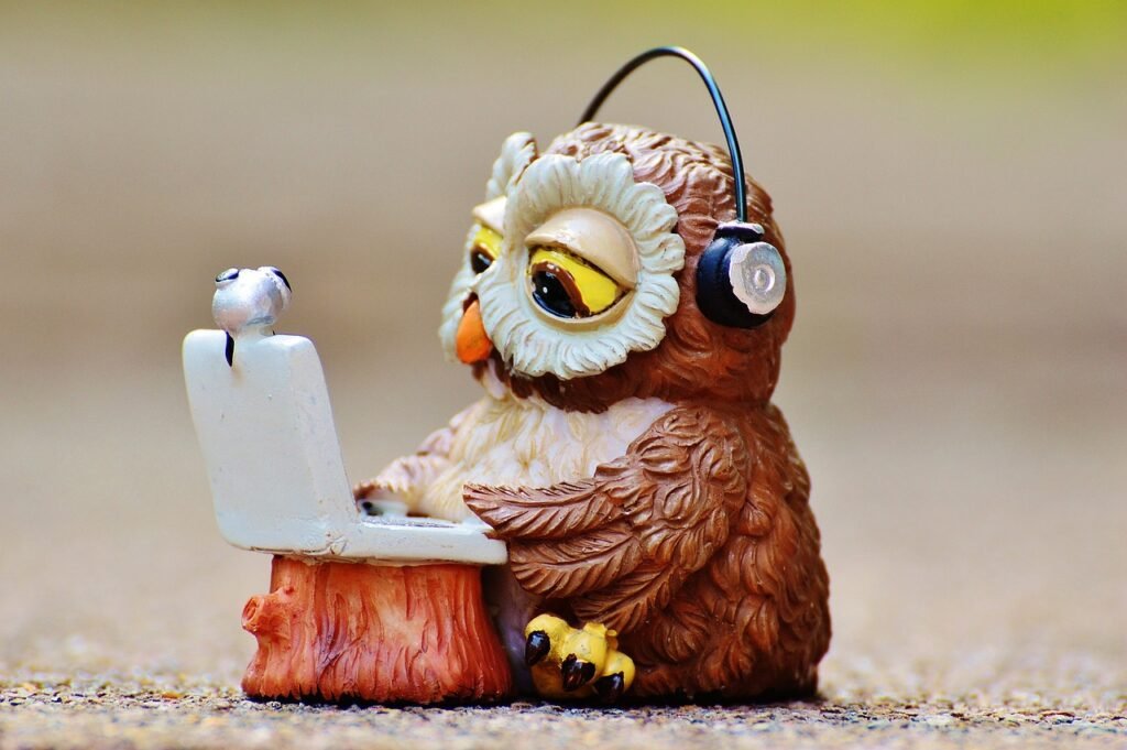 owl, computer, headphones-947734.jpg